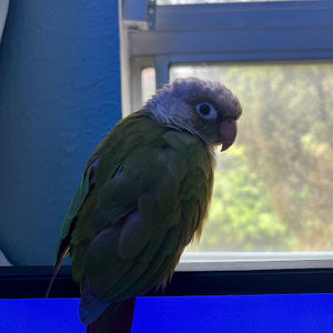 Meet your Posher, Jackson